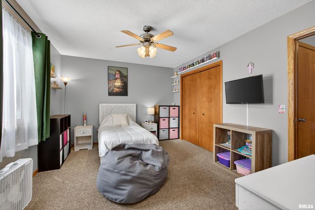 313 SULLIVAN Drive, Colona, IL 61241