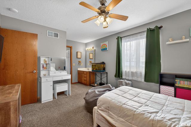 313 SULLIVAN Drive, Colona, IL 61241