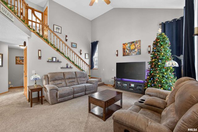 313 SULLIVAN Drive, Colona, IL 61241