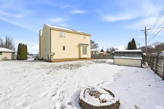 313 SULLIVAN Drive, Colona, IL 61241