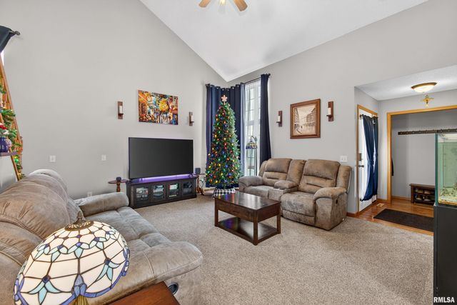 313 SULLIVAN Drive, Colona, IL 61241