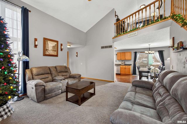 313 SULLIVAN Drive, Colona, IL 61241