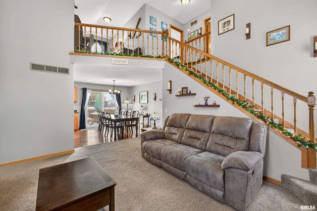 313 SULLIVAN Drive, Colona, IL 61241