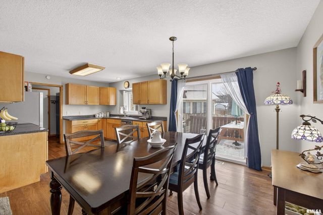 313 SULLIVAN Drive, Colona, IL 61241