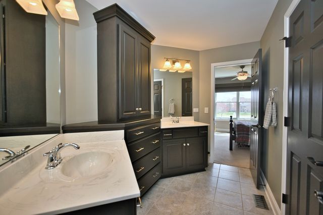 10 Raes Creek Court, Bolingbrook, IL 60490