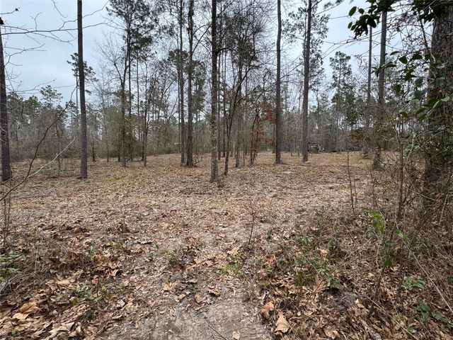 0103 Old Fm 705, Broaddus, TX 75979