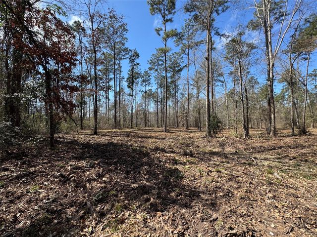 0103 Old Fm 705, Broaddus, TX 75979