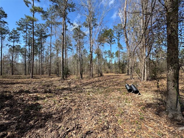 0103 Old Fm 705, Broaddus, TX 75979