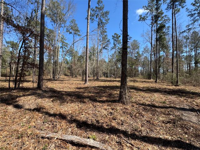 0103 Old Fm 705, Broaddus, TX 75979