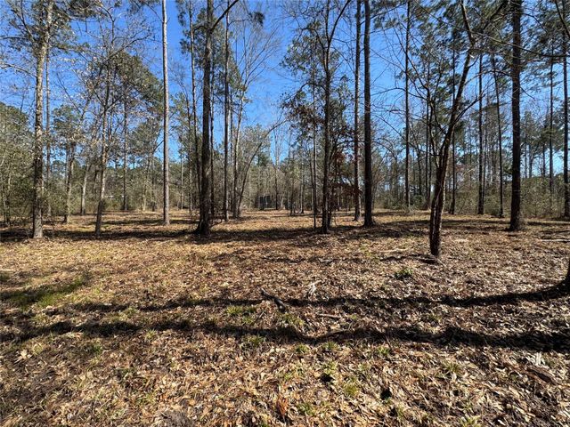 0103 Old Fm 705, Broaddus, TX 75979