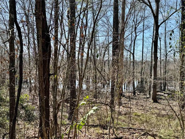 0103 Old Fm 705, Broaddus, TX 75979