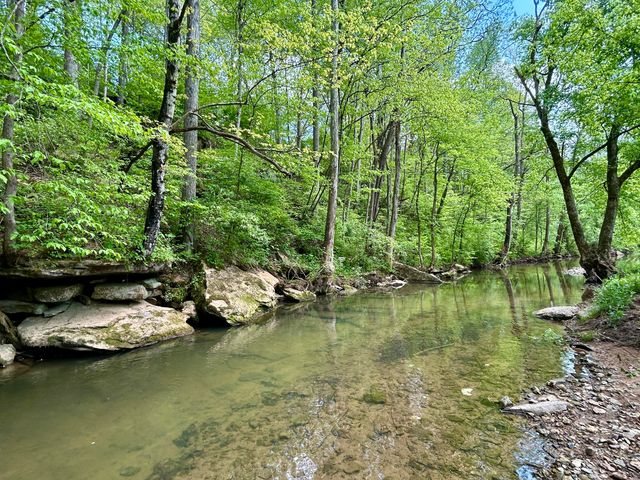 1571 Kit Cowan Road, Somerset, KY 42501