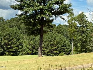 44 Sweet Meadow Lane, Pittsboro, NC 27312