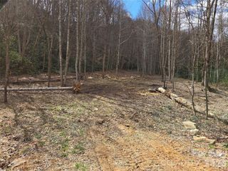 00 Laurel Branch Road, Waynesville, NC 28785