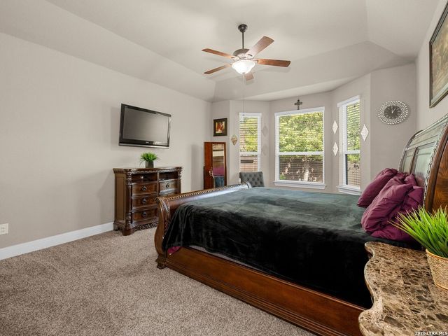 11715 VIOLET COVE, San Antonio, TX 78253