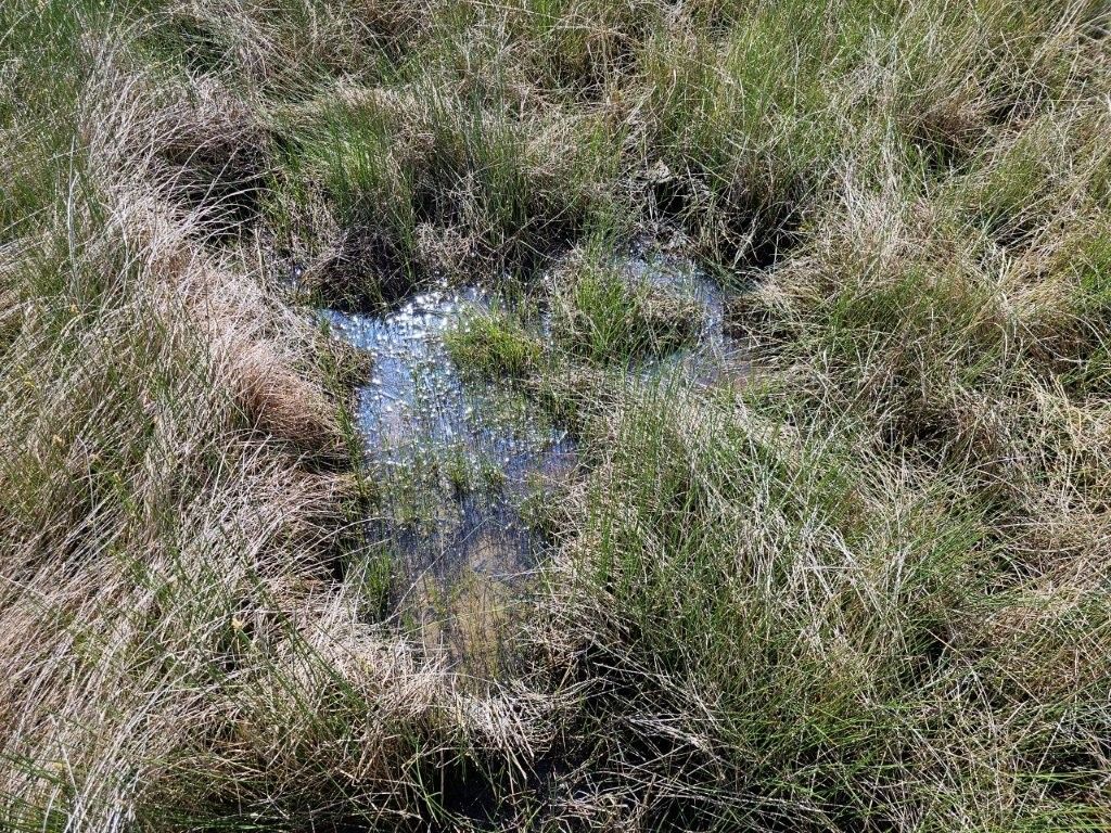 TBD Elk Creek Road, Winnett, MT 59087 photo 13