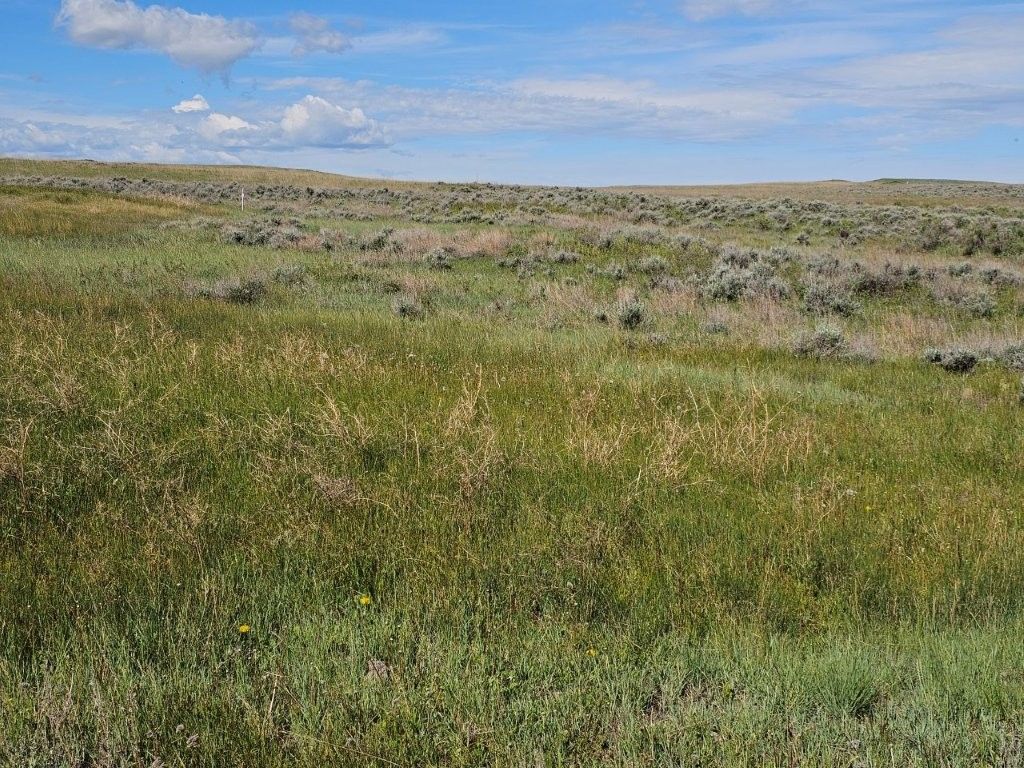 TBD Elk Creek Road, Winnett, MT 59087 photo 17