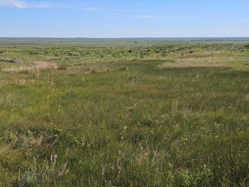 TBD Elk Creek Road, Winnett, MT 59087 photo 18