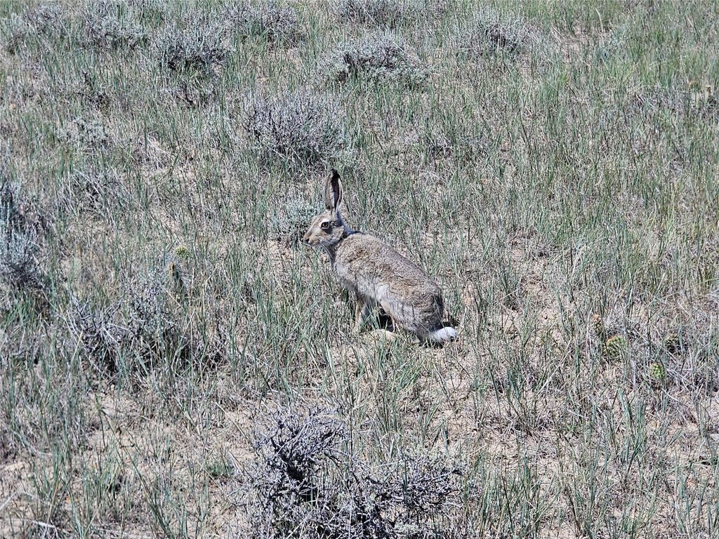 TBD Elk Creek Road, Winnett, MT 59087 photo 19