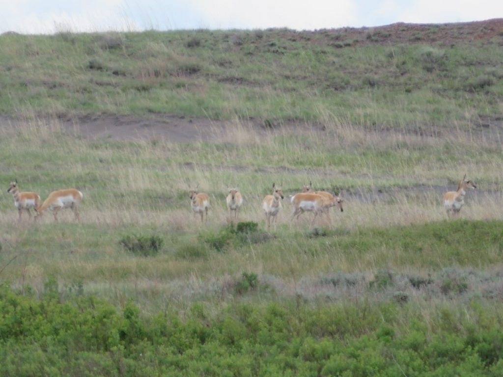 TBD Elk Creek Road, Winnett, MT 59087 photo 2