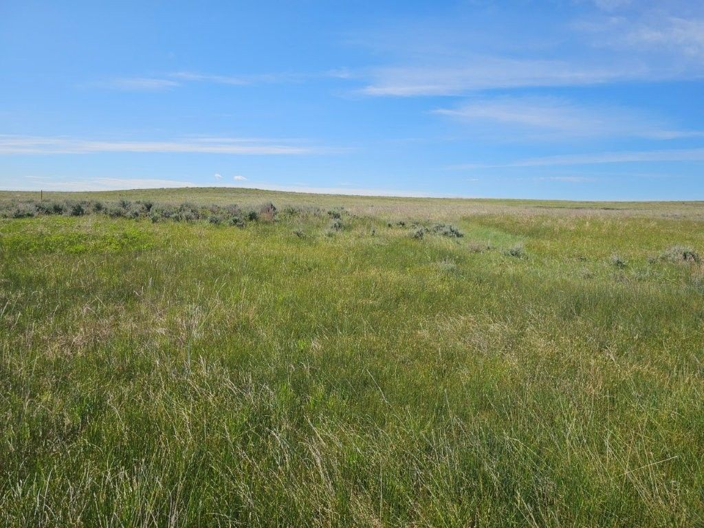 TBD Elk Creek Road, Winnett, MT 59087 photo 21
