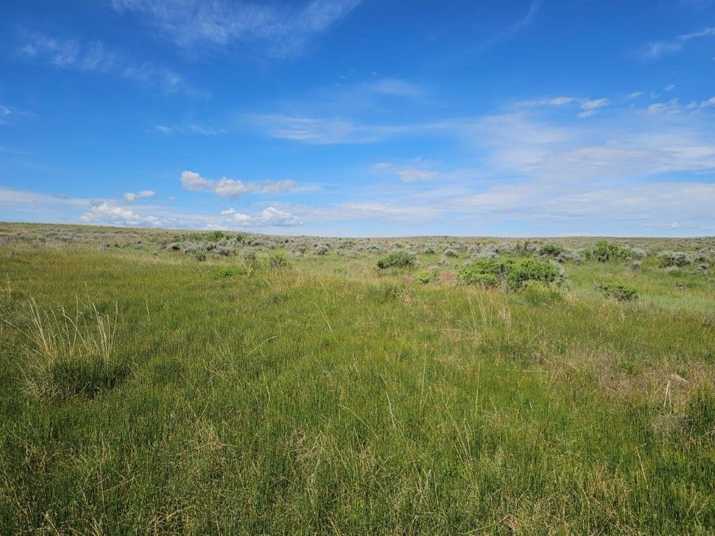 TBD Elk Creek Road, Winnett, MT 59087 photo 22
