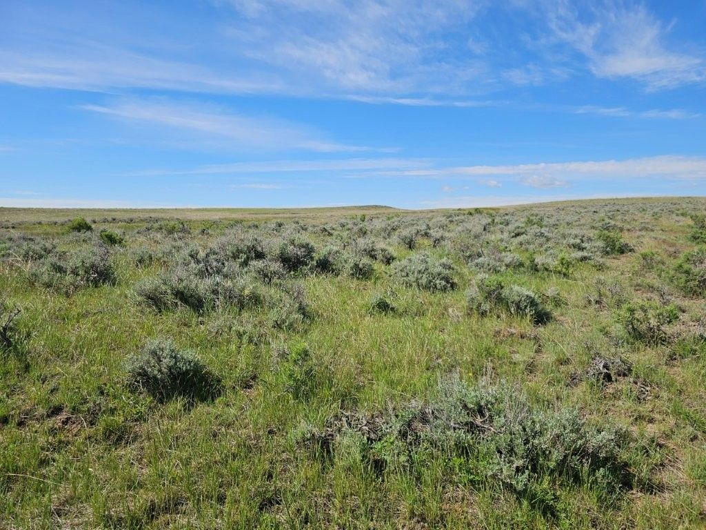 TBD Elk Creek Road, Winnett, MT 59087 photo 24