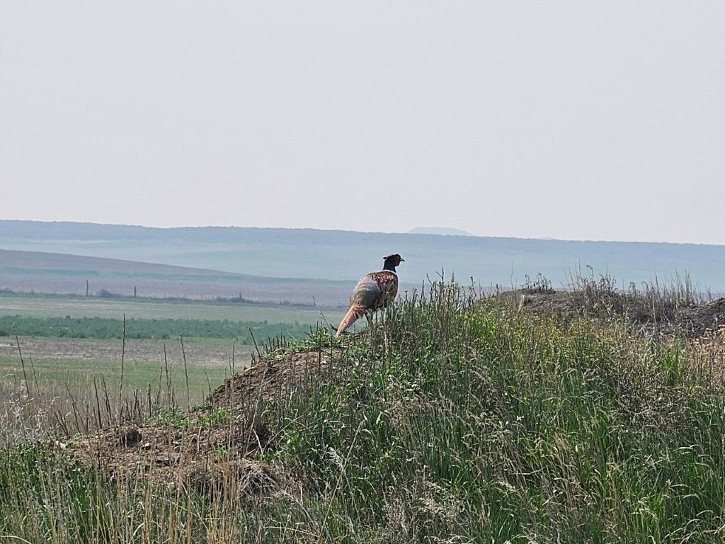 TBD Elk Creek Road, Winnett, MT 59087 photo 6