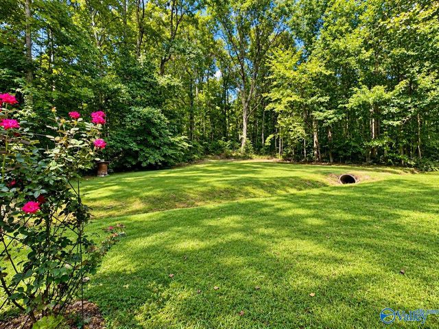 650 Mulberry Road, Hazel Green, AL 35750