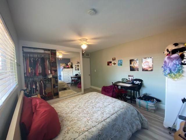 6601 LAKE CLARKE Drive, Lake Clarke Shores, FL 33406