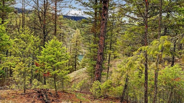 23500 N McLellan Ln, Nine Mile Falls, WA 99026