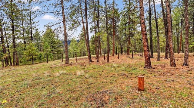 23500 N McLellan Ln, Nine Mile Falls, WA 99026