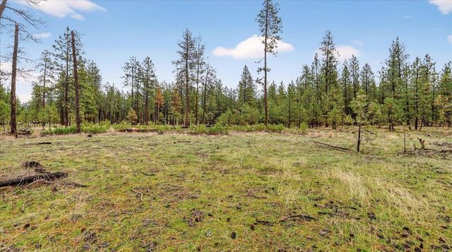 23500 N McLellan Ln, Nine Mile Falls, WA 99026