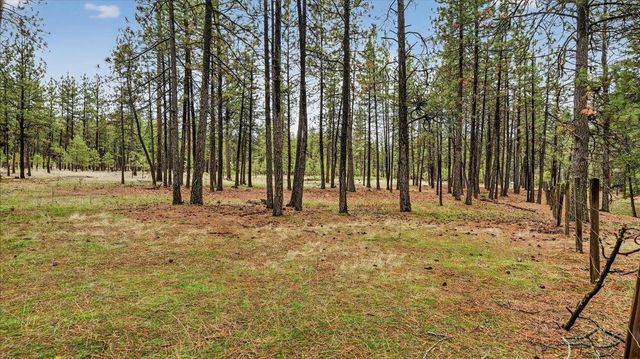 23500 N McLellan Ln, Nine Mile Falls, WA 99026