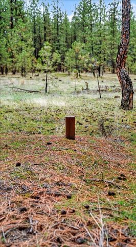 23500 N McLellan Ln, Nine Mile Falls, WA 99026