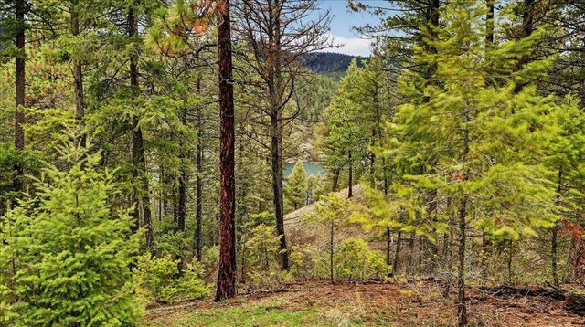 23500 N McLellan Ln, Nine Mile Falls, WA 99026