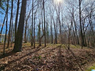 155 S HOLLOW ROAD, Hayden, AL 35079
