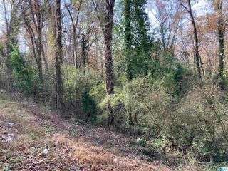 2910 1ST STREET NW, Center Point, AL 35215