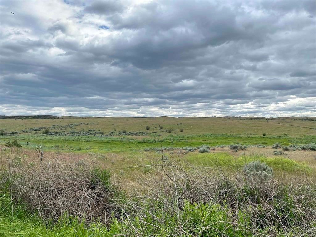 XXX NKA, Sprague, WA 99032 photo 4