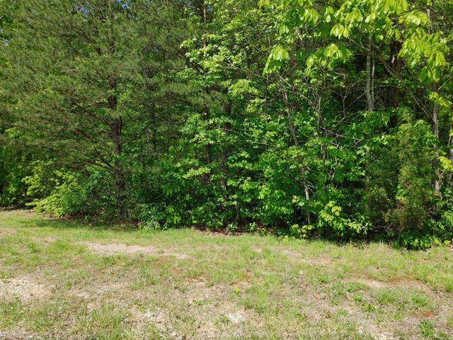 Lot 8 Woods Trail Drive, Irvine, KY 40336