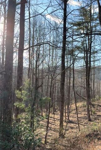 Lot 7D Meadow View Lane, Cleveland, GA 30528
