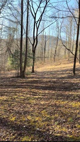 Lot 7D Meadow View Lane, Cleveland, GA 30528