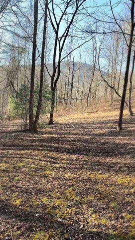 Lot 7D Meadow View Lane, Cleveland, GA 30528