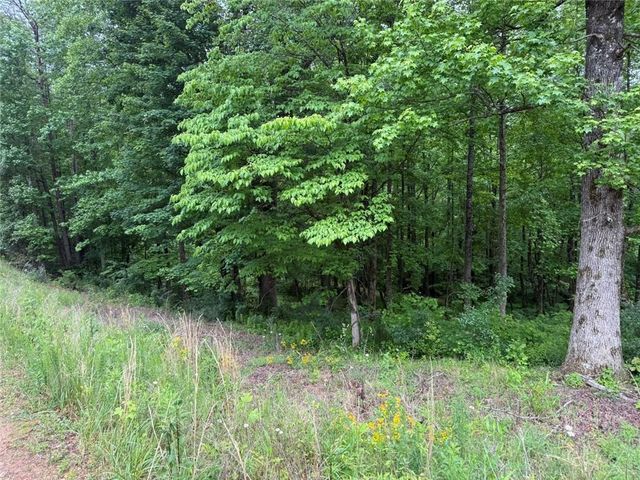 Lot 7D Meadow View Lane, Cleveland, GA 30528