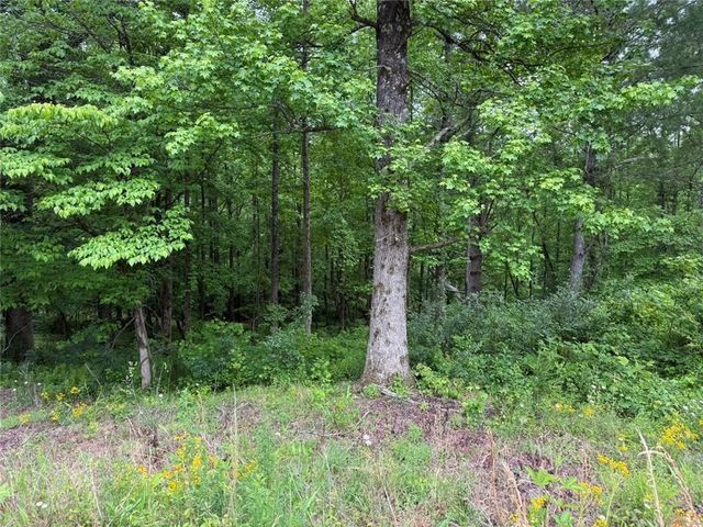 Lot 7D Meadow View Lane, Cleveland, GA 30528