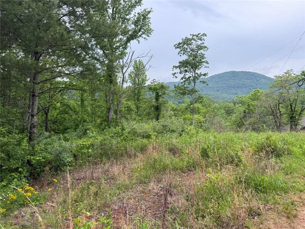 Lot 7D Meadow View Lane, Cleveland, GA 30528