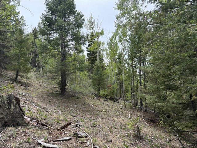 6795 Starkweather Rd, Fort Garland, CO 81133