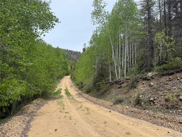 6795 Starkweather Rd, Fort Garland, CO 81133