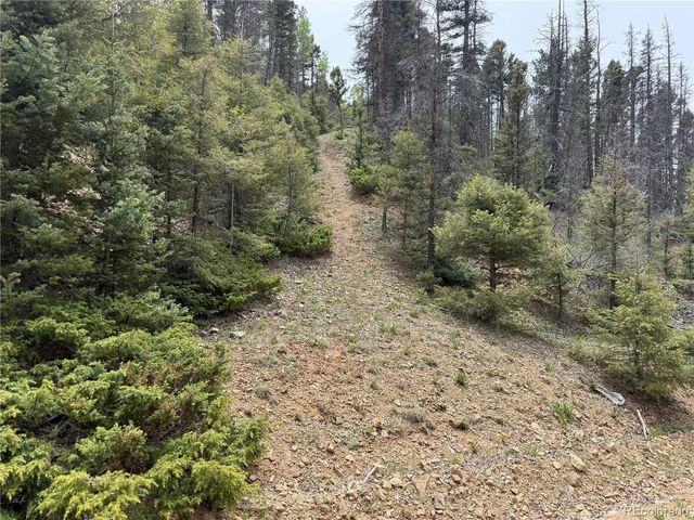 6795 Starkweather Rd, Fort Garland, CO 81133