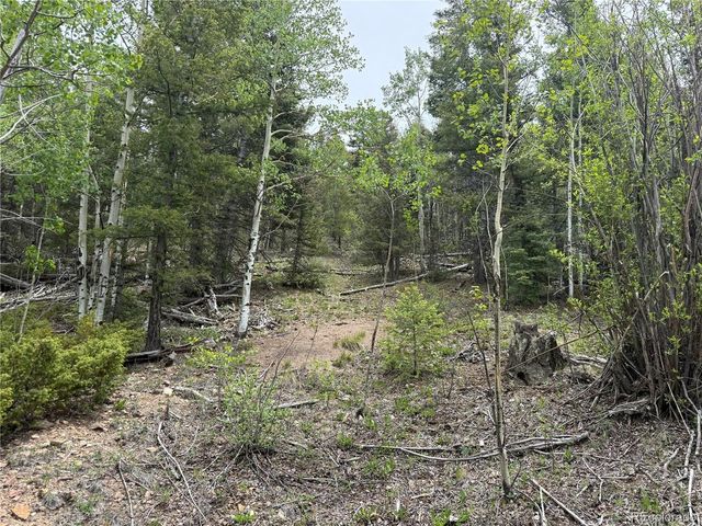 6795 Starkweather Rd, Fort Garland, CO 81133